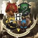 ?The New Hogwart's?