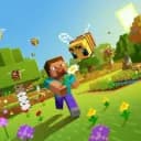 minecraft gaming