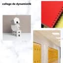 College de dynamistik