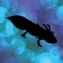 La Cité des AXOLOTLS