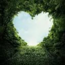 ParadiseOnEarth
