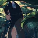 Animanga universe