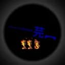 Code 113