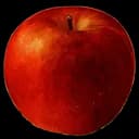 La Grosse Pomme