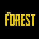 THE FOREST ??