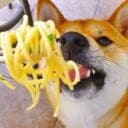 Pasta Dog's Library