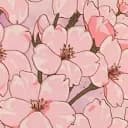*ੈ☆⸝⸝?༘⋆