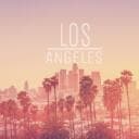 SF RP  | V1 | + 12