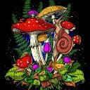 mushroom farm