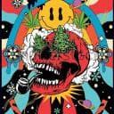 Cannabis &amp;amp; psychedelic Community