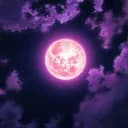 moonlight