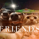 F.R.I.E.N.D