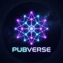 🌌 PubVerse