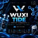 Wuxi tide subsidiaries