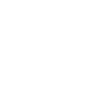 The Master Shop ?