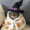 Bons Copains 🎃