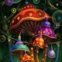 le monde des champignons ?