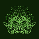 Le Lotus Noir de Dracos