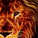 The Lion Fire Club ?