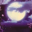 Moon Community