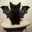 Cat's POWER