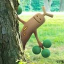 PoGo Gyms