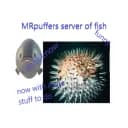 MR puffer's server of fishy boys