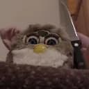 Les Furbys