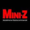 Mini-Z Discord