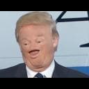 A N 4 L F 4 b E T I