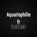 FishTchat