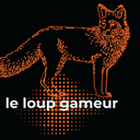 Serveur du loup gameur