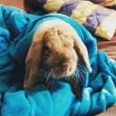 ??