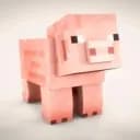 Cochoncraft