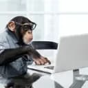 (Unofficial) Gorilla Tag Modding Discord