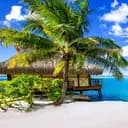 ?Paradis Tropical?