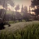 Chill Forest