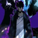 ?solo leveling fr