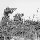World War ll |La Bataille de Falaise| 1944