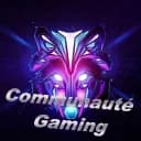 Communauté Gaming