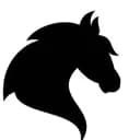 Horse Community