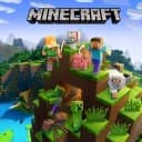 Minecraft community