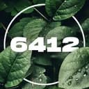 Team_6412