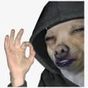 Bora jogar