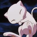Mew's world