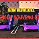 DONS /VEHICULE