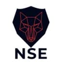 TEAM NSE
