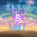 Fly & Meet
