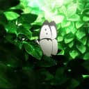 Greenwood®『?』