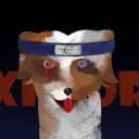 Communauté | Xibior